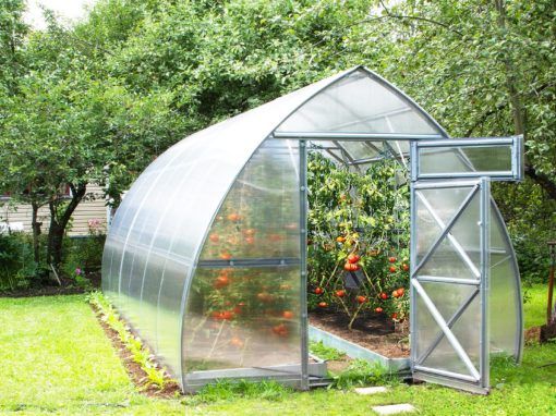 How To Build A Greenhouse That Fits Your Needs post thumbnail image