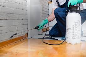 Customized Solutions for All Your Pest control Needs in Las Vegas post thumbnail image