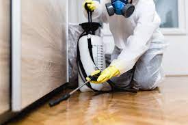 Get the Best Pest Control Solutions for Your Home or Business – Las Vegas Pest Control post thumbnail image