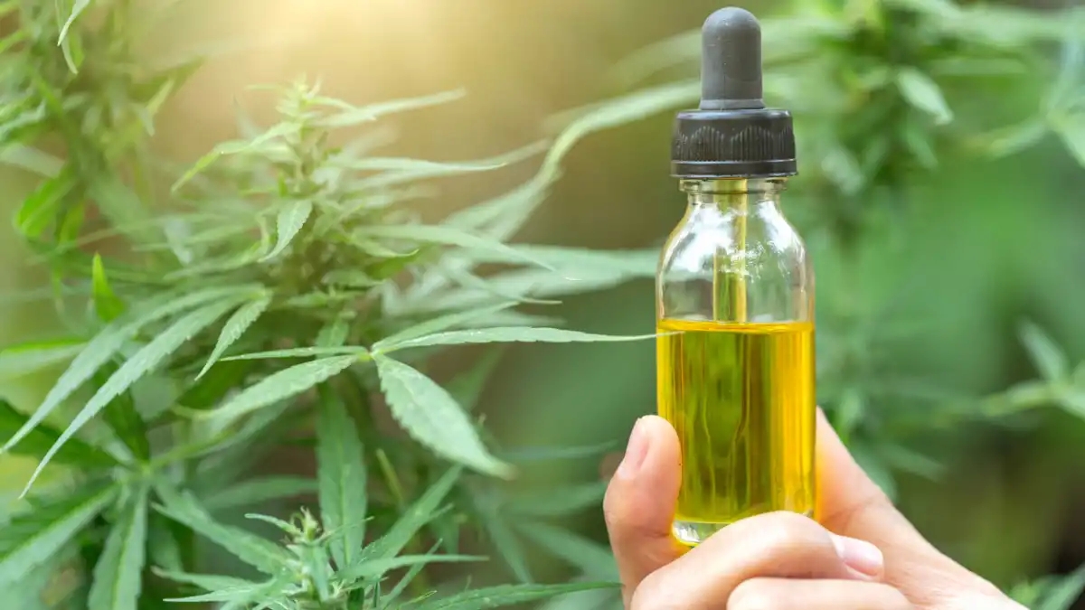 The Benefits of Testing For Heavy Metals in CBD Oil Products post thumbnail image