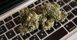 Buy weed online: Get the Best Deals on Marijuana Products post thumbnail image