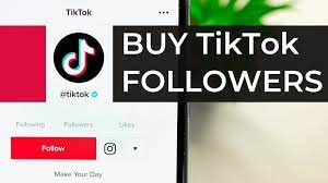 Become an Authority in Your Niche – Invest in Buying TikTok Likes post thumbnail image