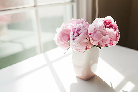 Enjoy Fresh Peonies Delivered from the Heart of New York City post thumbnail image