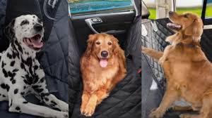 Heavy Duty Nylon Dog Car Seat Covers With Adjustable Straps post thumbnail image