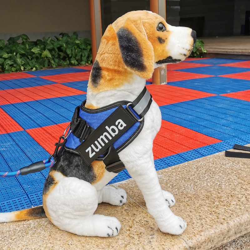 Why a No Pull Dog Harness Is the greatest Selection for Your Pet Dog? post thumbnail image