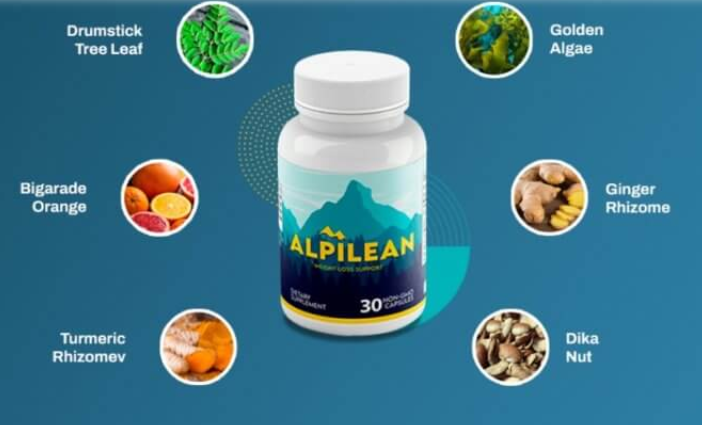 Evaluating Alpilean Evaluations: Does Alpine Ice cubes Really Assist with Fat Loss? post thumbnail image