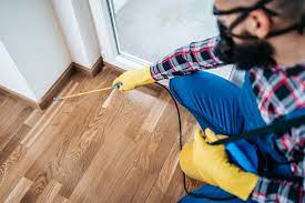 Finding the Most Efficient Pest Control Services in Las Vegas post thumbnail image
