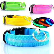 Discover the Benefits of Halo Dog Collar for Your Furry Pal post thumbnail image