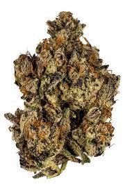 The Enchanting Fragrance of Herbal Remedies at Trippy Wizard Dispensary post thumbnail image