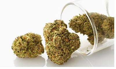 The Legalities of Mail Order Cannabis: What You Need to Know post thumbnail image
