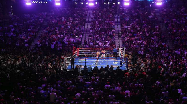Watch Legends at Work: Great Live Streams That Bring Professional Boxing Matches Closer To Home post thumbnail image