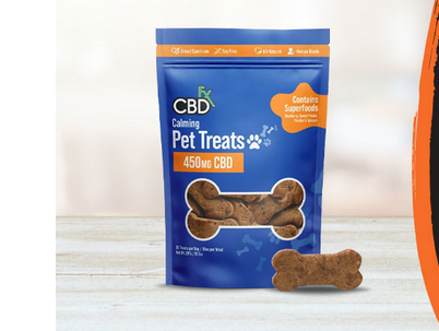 How Cbd dog treats Can Help with Fearful Dogs post thumbnail image