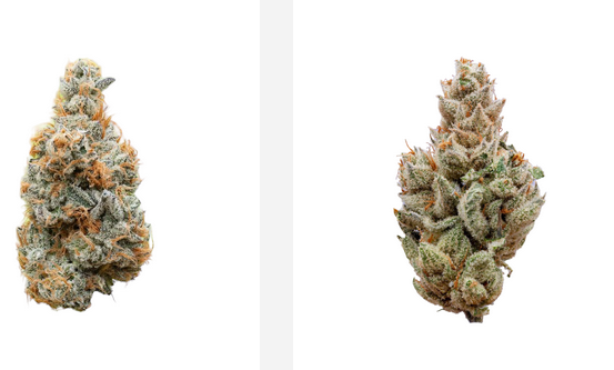 Get Finest Fulfillment From Your Dugout Marijuana with one of these Choices post thumbnail image