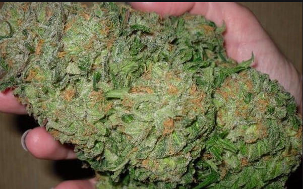 Just how a marijuana dc dispensaries operates post thumbnail image