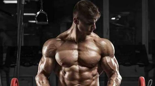 SARMs for Sale: The Key to Accelerated Muscle Development post thumbnail image