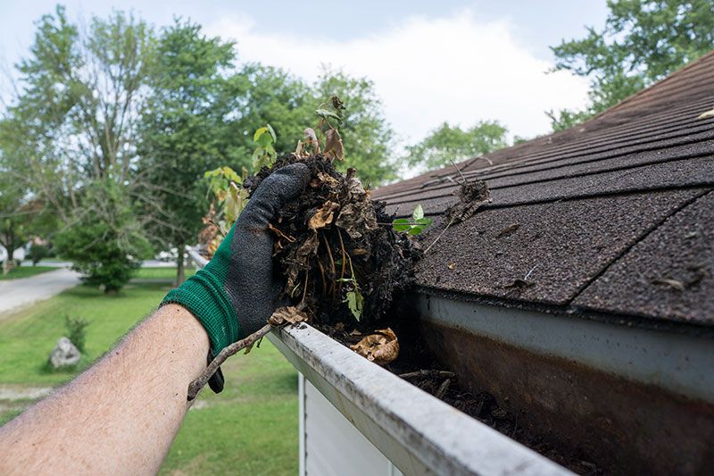 DIY vs Professional Windows Washing: That Is Best? post thumbnail image