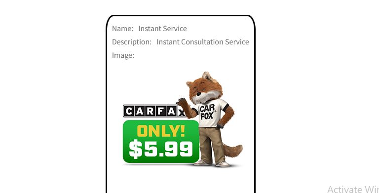 Wallet-Friendly Carfax: Get the Information You Need at a Discounted Price post thumbnail image