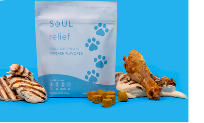 CBD Treats for Dogs: A Gentle Approach to Behavior Training post thumbnail image