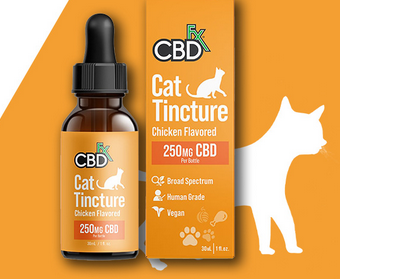 CBD Cat Treats for Cats with Liver Problems: Gentle Care post thumbnail image